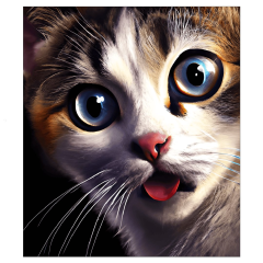 OB Panel  35-39 x 45 cm (více v popisu produktu) - kočka Materiál - výběr z variant