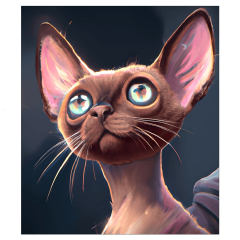 OB Panel  35-39 x 45 cm (více v popisu produktu) - kočka Materiál - výběr z variant