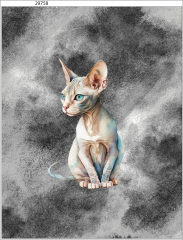OB Panel  35-39 x 45 cm (více v popisu produktu) - Kočka II. Materiál - výběr z variant